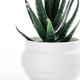 thumbnail image 3 of Plantas Suculentas Artificiales Decorativas Simulación de Escritorio Bonsai Mini Casa Planta Verde para Decoración de Hogar y Oficina ANGGREK  Otros, 3 of 8