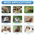 thumbnail image 4 of Live Animal Traps - 32" Humane Animal Trap for Stray Cats Raccoons, Squirrel, Skunk, Mole, Groundhog, Armadillo, Rabbit - Humane, 4 of 7
