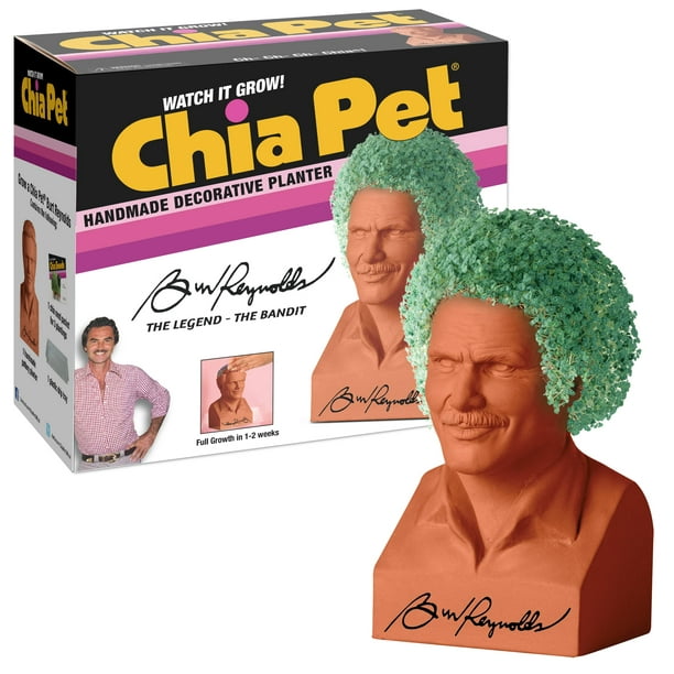  Chia Pet Bob Ross with Seed Pack, Decorative Pottery