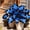 E, variant on `Hosta Flower Bulbs, Easy‑Grow Low Maintenance Perennial, Suitable for Garden Beds, Borders, Pots and Planters`