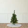 thumbnail image 2 of Northlight Pre-Lit Medium Aspen Pine Artificial Christmas Tree - 2' - Clear Lights, 2 of 7