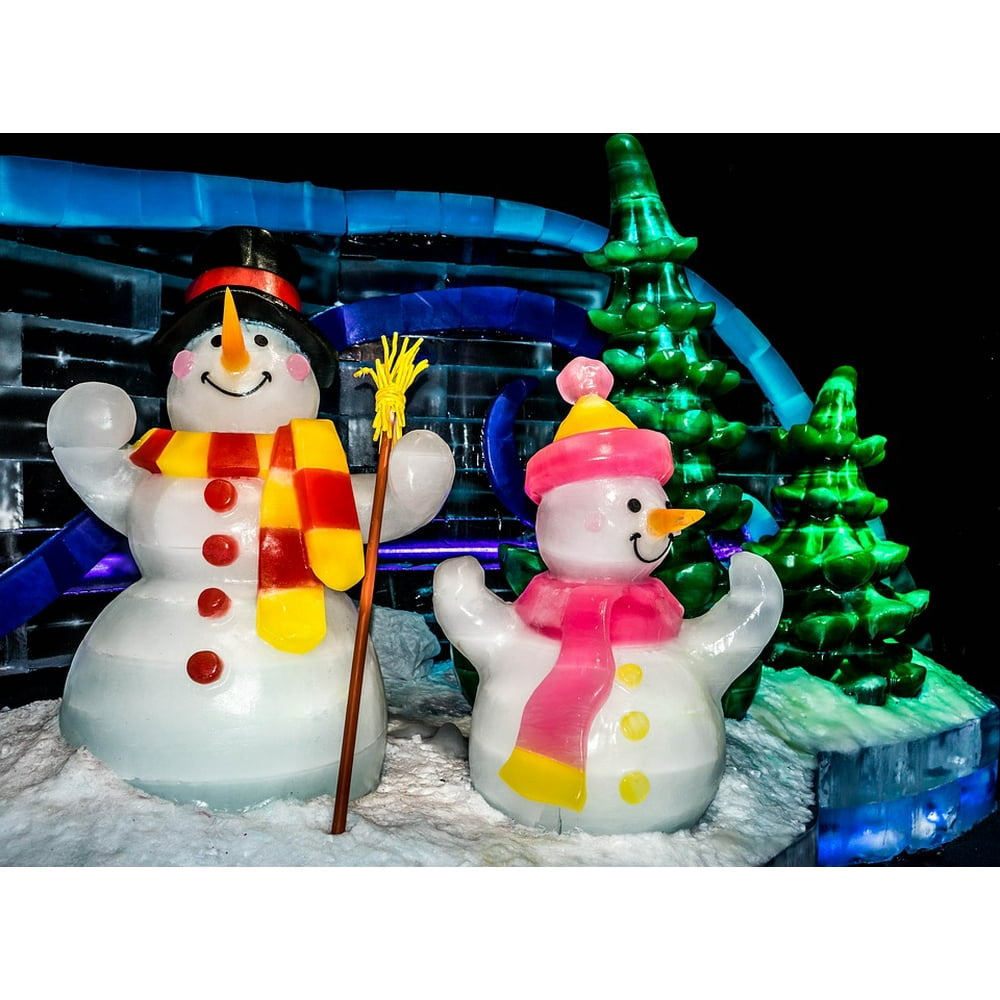 Ice Sculptures Ice Exhibit Ice Gaylord Palms-20 Inch By 30 Inch ...