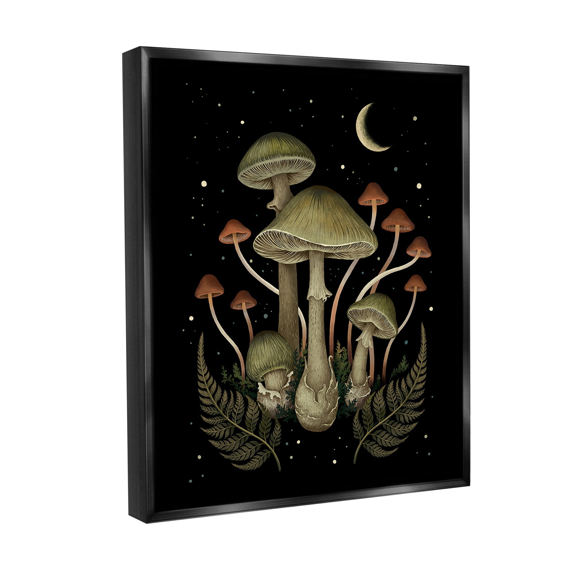 Stupell Industries Night Mushrooms & Ferns Botanical & Floral Painting Black Floater Framed Canvas Art Print Wall Art, 17 x 21