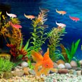 thumbnail image 5 of KAKOWELY 10 Pcs Poissons Miniatures 1:12 Maison de Poupée Poissons Miniatures Poissons Rouges pour Micro-Scènes Réalistes Mini Aquarium Ornement Micro-Paysage, 0.59"X0.14"X0.14 Pouces, 5 of 5