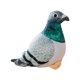 thumbnail image 4 of Animales de Peluche Hugo Paloma Realista Juguete de Peluche 20 cm Gris verdoso, 4 of 10