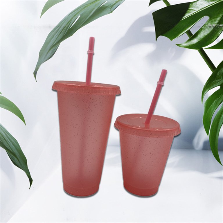 Plastic Mug, Plastic Water Cup with Straw, Casewin 6 Pack Tumblers with  Lids and Straws, Solid Colours Mug, Hot & Cold Insulation, Cold Drinks,  Home