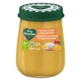 thumbnail image 1 of Baby Gourmet Organic Jar Mango Yogurt + Rolled Oats, 1 of 4