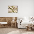 thumbnail image 2 of Stupell Industries Orange Bird Mossy Tree Branch Photograph Gray Framed Art Print Wall Art, Design by Lil' Rue, 2 of 7