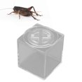 thumbnail image 4 of Caja De Alimentación Acrílica De Araña, Caja De Cría De Insectos De Grillo Portátil Ligera, Reptil Para Cría De Mascotas Para Araña De Grillo Y Grillo, 4 of 8