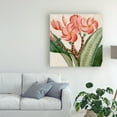 thumbnail image 3 of Trademark Fine Art 'Cropped Turpin Tropicals VII' Canvas Art by Vision Studio, 3 of 4
