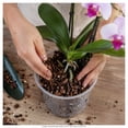 thumbnail image 4 of Sustrato para Orquídea Nutrigarden 500 g, 4 of 4