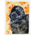 thumbnail image 1 of Carolines Treasures BB9932CHF Drapeau Terre-Neuve Automne - Taille Maison en Toile, 1 of 4