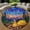 Camping, variant on Round Area Rug, Frog Non-Slip Floor Mat, Soft Washable Carpet for Living Room Bedroom Decor 24 Inch
