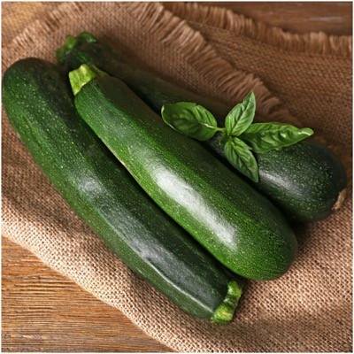 Sunburst Squash Seed - Packet of 70 Seeds, Black Beauty Zucchini, Summer Squash Seeds (Cucurbita pepo)