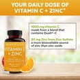 Viva Naturals Vitamin C and Zinc Supplement (250 Capsules) 1000 mg