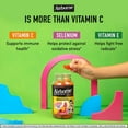 thumbnail image 4 of Airborne 500mg Vitamin C + Zinc Immune Support Supplement Gummies for Kids, Assorted Fruit Flavor, Gluten Free Crafted Blend with Powerful Antioxidants Vitamins C & E, 63 Gummies (2 Pack), 4 of 9