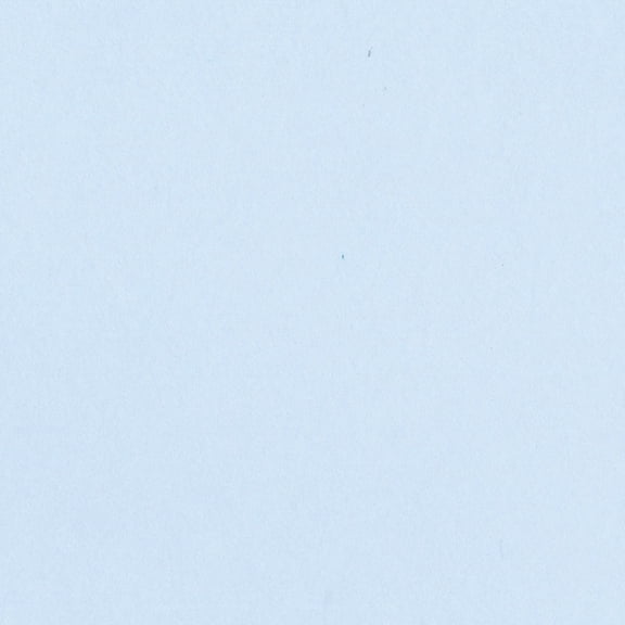 Bazzill Card Shoppe Heavyweight Cardstock 12"X12"-Icy Mint