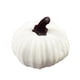 thumbnail image 1 of Xihbxyly Calabazas de Terciopelo, Relleno de Algodón Suave, Elegante Decoración de Temporada, Decoración para Fiesta de Acción de Gracias y Halloween, Estilo Otoñal para El Hogar, Juego Multicolor, S, 1 of 1