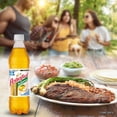thumbnail image 4 of Agua mineral Peñafiel manzanita 600 ml, 4 of 4