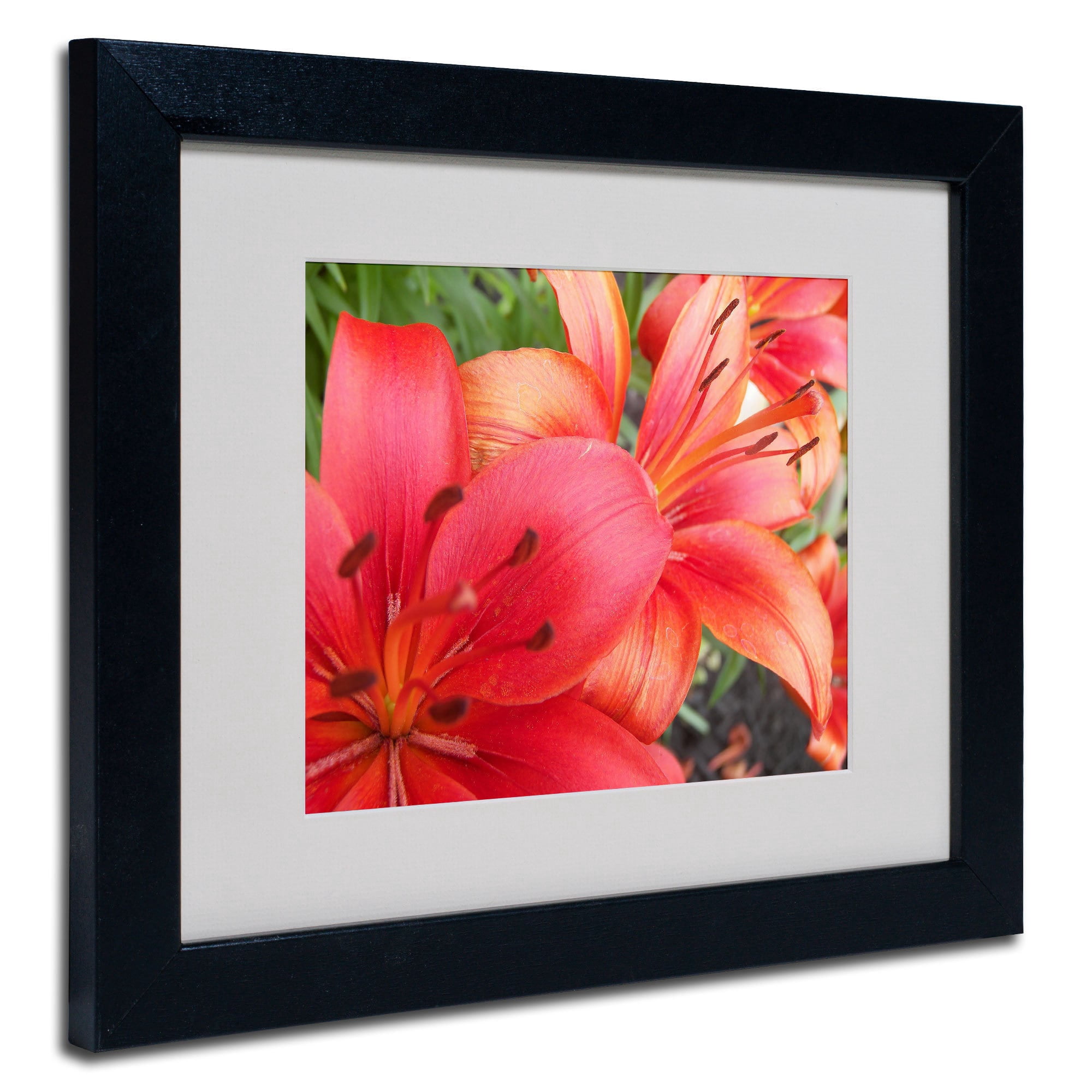 Trademark Fine Art "Lehua" Canvas Art by Monica Fleet, White Matte, Black Frame