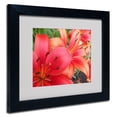 thumbnail image 2 of Trademark Fine Art "Lehua" Canvas Art by Monica Fleet, White Matte, Black Frame, 2 of 4