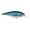 Blue Tiger, variant on Berkley Flicker Shad Shallow 5cm Black Silver Fishing Lure