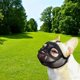 thumbnail image 3 of Máscara de perro Sunnimix ajustable malla transpirable hocico corto, 3 of 8