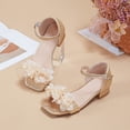 thumbnail image 3 of Girls Sandals Low Chunky Heels Ankle Strap Pumps Square Open Toe Flower Wedding Party Dress Shoes Gold 12.5 Little Kid, 3 of 7