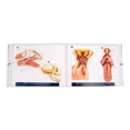 thumbnail image 4 of Libro Atlas De Anatomia De Pequeños Animales Conceptos Básicos, 4 of 4