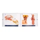 thumbnail image 4 of Libro Atlas De Anatomia De Pequeños Animales Conceptos Básicos, 4 of 4