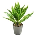 thumbnail image 1 of Hojas falsas, simulación de plantas verdes, plantas en macetas, decoración interior creativa, decoración de plantas artificiales., 1 of 5