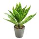 thumbnail image 1 of Hojas artificiales, simulación de plantas verdes, plantas en macetas, decoración interior creativa, decoración de plantas artificiales., 1 of 5