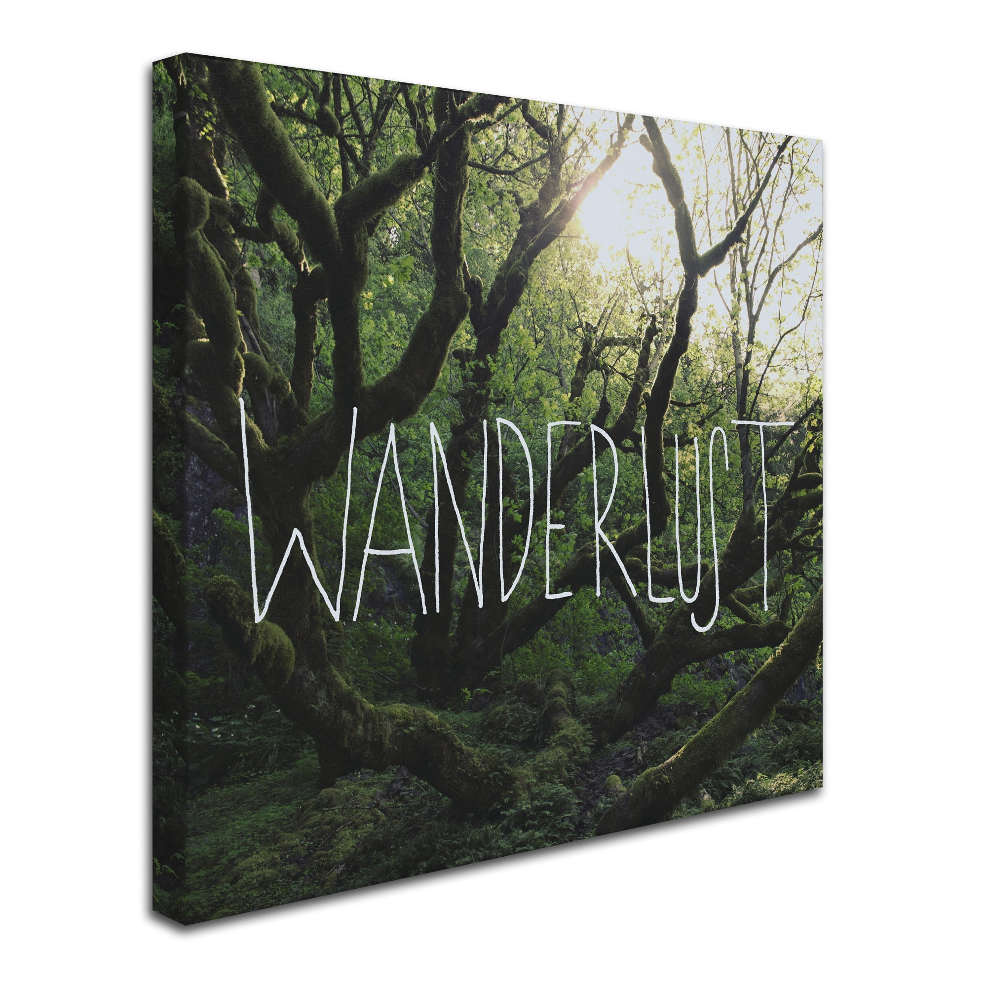 Trademark Fine Art "Wanderlust" Canvas Art by Leah Flores