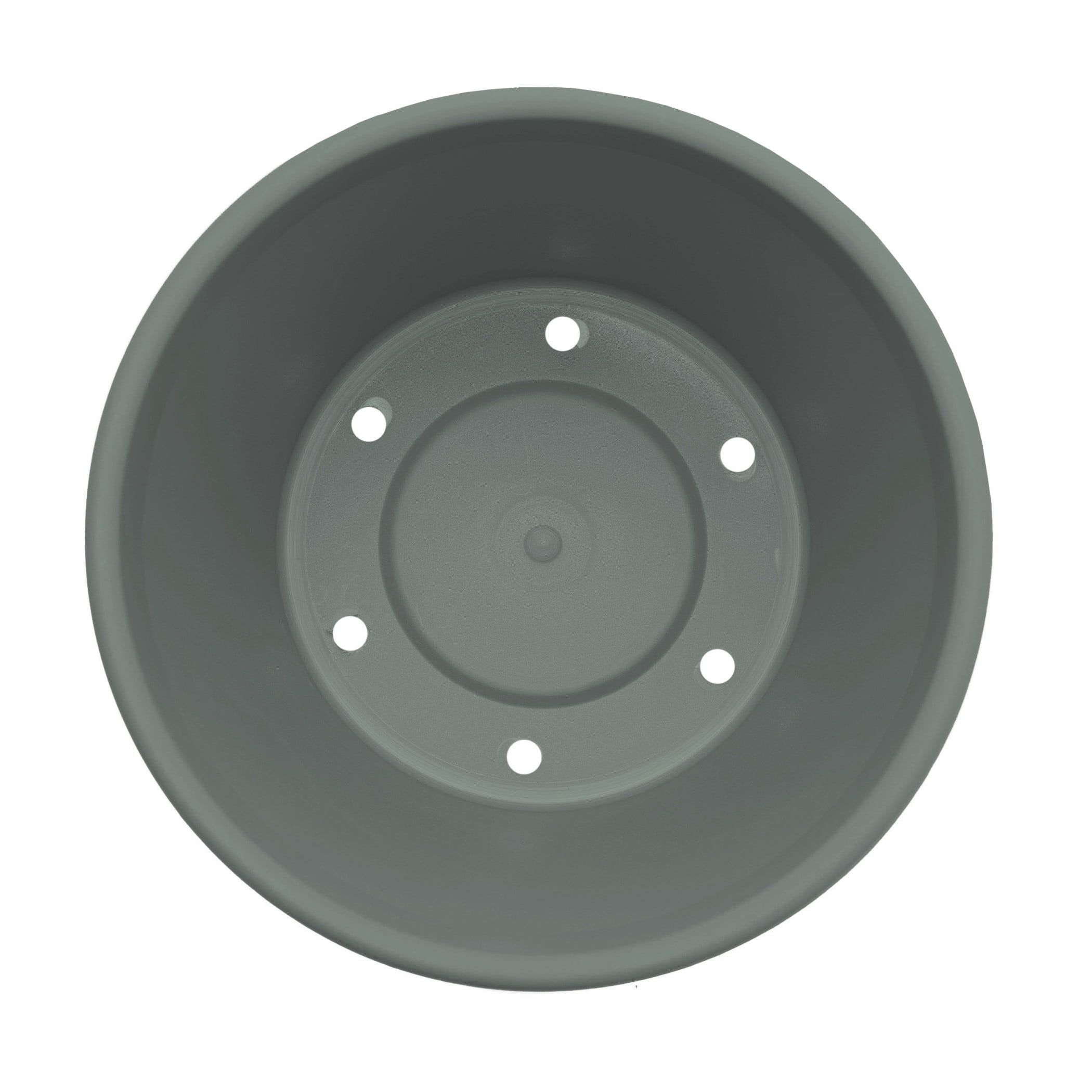 Bloem Terra 6" Round Plastic Planter with Drainage Holes - Indoor/Outdoor, 0.5 Gallon Capacity, Lightweight Garden Pot, Basil