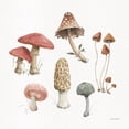 thumbnail image 3 of Audit, Lisa 12x12 Black Modern Framed Museum Art Print Titled - Mushroom Medley 03, 3 of 5