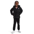 thumbnail image 4 of Parka The North Face para niños North Down con forro polar con relleno 600, 4 of 6