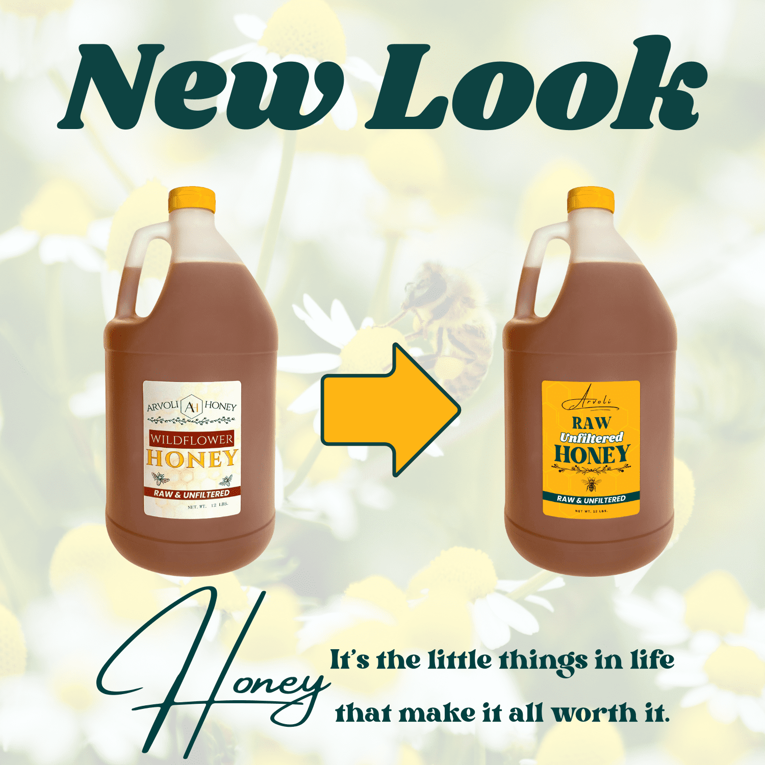 Raw & Unfiltered Wildflower Honey - 1 GALLON of HONEY - 12 lb Jug - BULK HONEY by Arvoli Honey