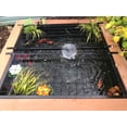 thumbnail image 3 of Pond Cover - Lotus Garden Aquarium, 3 of 4