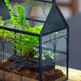 thumbnail image 5 of NCYP Glass Enclosure with Vent Holes for Insect, Spiders, Snails - 7.5" x 4.9" x 9", Small Closed Front Opening Door Succulent Terarium - House Shape Habitat, Home Decor Black (No Plants), 5 of 11