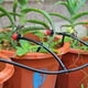 thumbnail image 2 of Orquídea - 100 piezas de conexión en T para tuberías de 4/7 mm - Conector de riego de PVC con conexión en T, 2 of 5