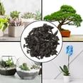 thumbnail image 5 of Horticultural Charcoal for Indoor Plants (24 Quarts), Hardwood Soil Additive for Orchids, Terrariums, and Gardening, 5 of 10
