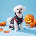 thumbnail image 2 of Vibrant Life Halloween Hoodie for Dogs and Cats, Day of the Dead, Black, S, 2 of 8