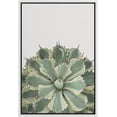 thumbnail image 3 of PixonSign Framed Canvas Print Wall Art Spiny Multicolor Cactus Succulent Botanical Flower Photography Modern Art Contemporary Relax/Calm Green Cool for Living Room, Bedroom, Office - 16"x24" White, 3 of 5