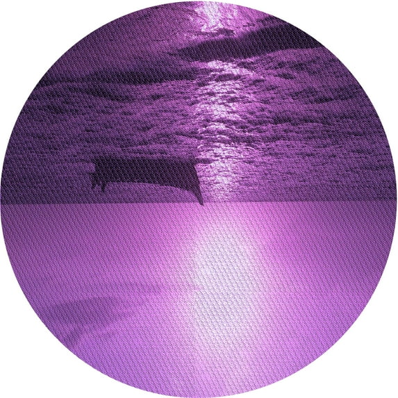 Ahgly Company Indoor Round Patterned Dark Magenta Purple Area Rugs, 6' Round