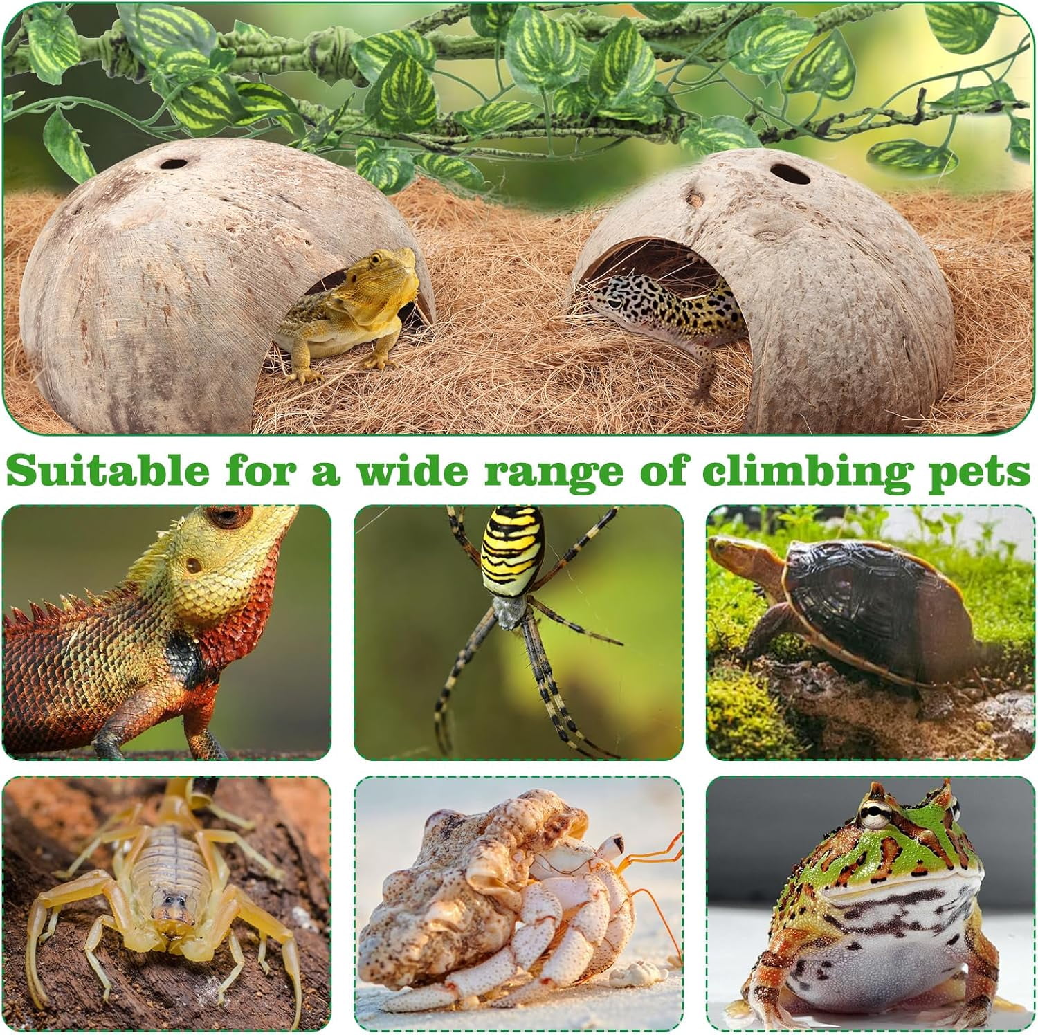 Crested Gecko Tank Accessories, Reptile Climbing Vines Hanging Plants with Coconut Shells Bridge Hideout Decor for Bearded Dragon Lizard Chameleon Gecko Turtle Snake