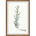 thumbnail image 2 of Herb Rosemary Framed Painting Print, 2 of 6