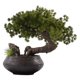 thumbnail image 1 of Plantas artificiales, bonsáis, decoración de escritorio, plantas artificiales de interior con macetas de cerámica, 1 of 5
