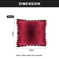 thumbnail image 2 of Decorte Pillowcase 20x20, 2 Pack Comfortable Soft Pompom Velvet Square Pillowcase Farmhouse home decor, 2 of 5