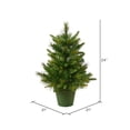 thumbnail image 3 of Vickerman 24" Cashmere Pine Artificial Christmas Tree Unlit, 3 of 3