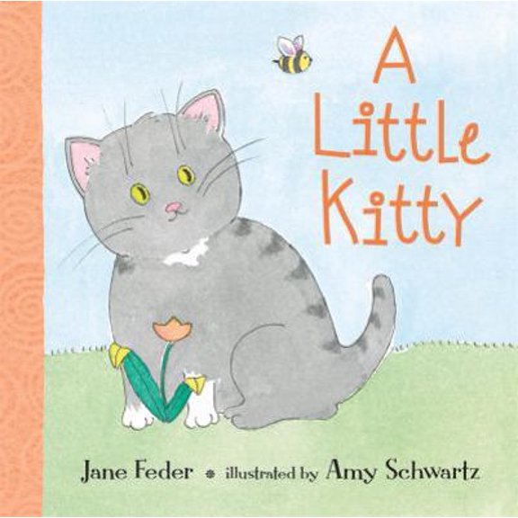Pre-Owned A Little Kitty (Board book) 0763626503 9780763626501